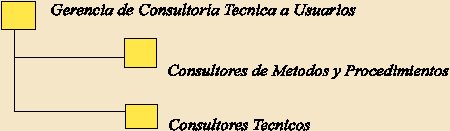 Organigrama Consultoría Técnica a Usuarios